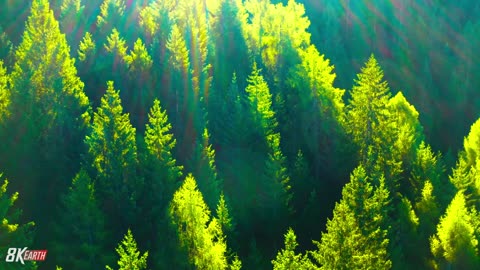 Nature with ultra HD