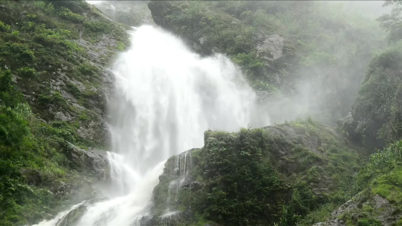 Nature