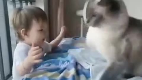 Cute Cat and baby