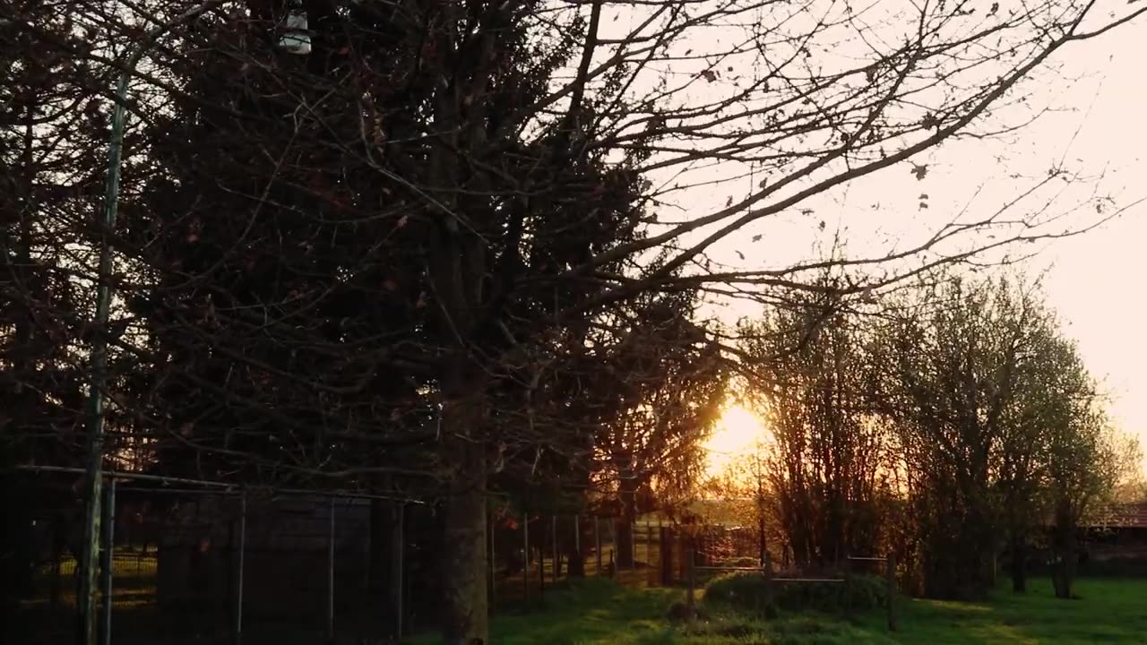 Amazing and feel this video
