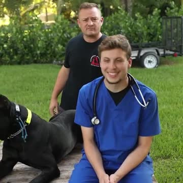 Did You Know Dogs Can Hear in Stereo?