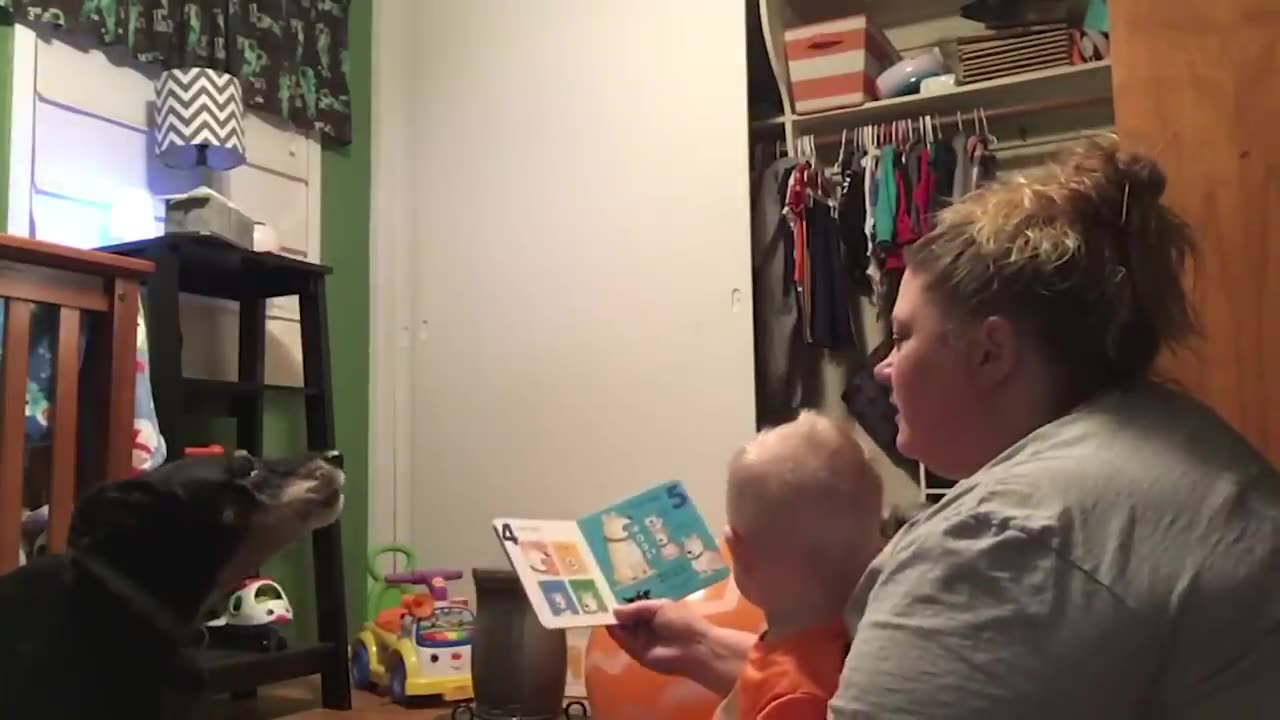 funny kids trying to read