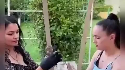Молодцы! И коня на скаку и в горящую избу!