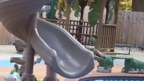 A cute cat got to curious when standing in the slide !😂😂😂