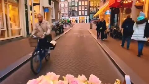 Amazing Amsterdam street view !!!!!!