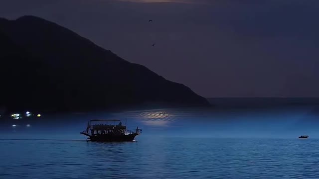 Amazing Nature in the moon light