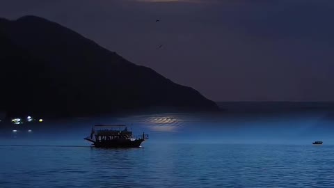 Amazing Nature in the moon light