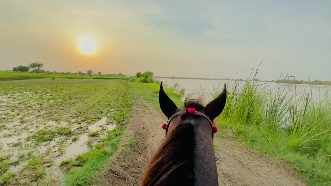 Horse riding in river area😱😱😱