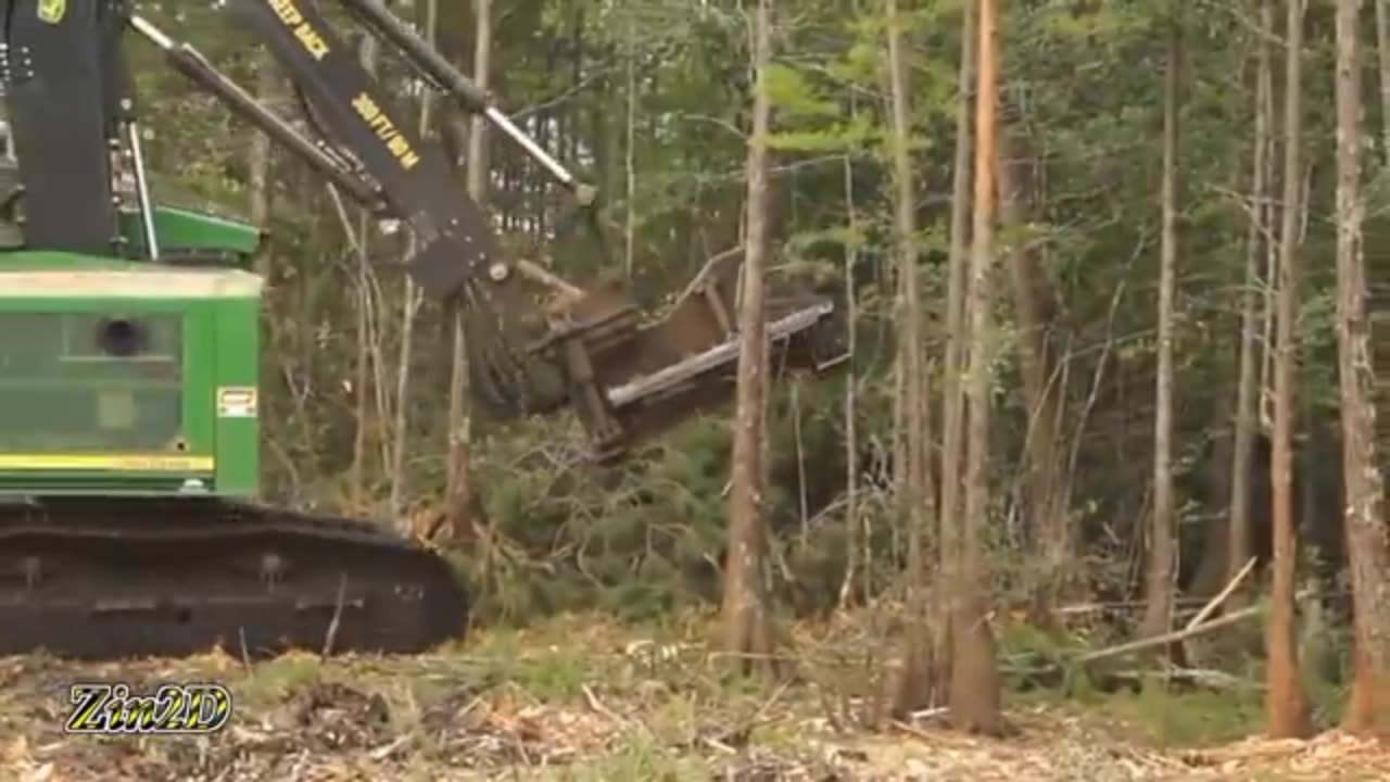 Tree cutting machine