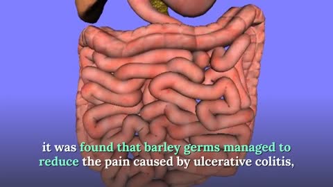Weight loss Challenge To Make a slim body By Green Barley Plus Pills