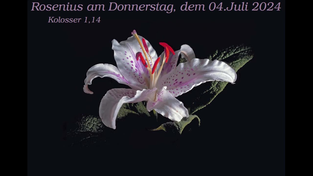 Rosenius am Donnerstag, dem 04. Juli 2024 zu Kolosser 1,14