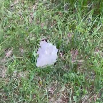 Freedom Cash Geocaching Paper Wallet