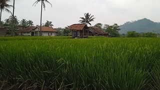 Very beautiful view