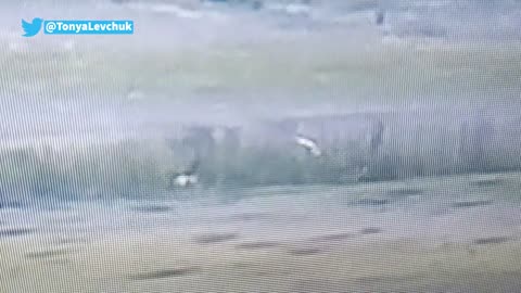 Russians in the Treeline Raise White Flag