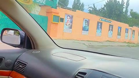 Ali ali