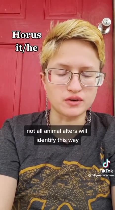 Trans species. Meet Horus the red tailed hawk.