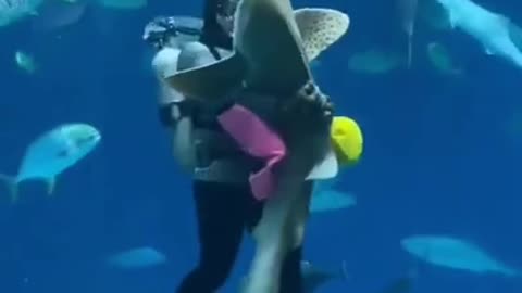 Romantic dance with a SHARK