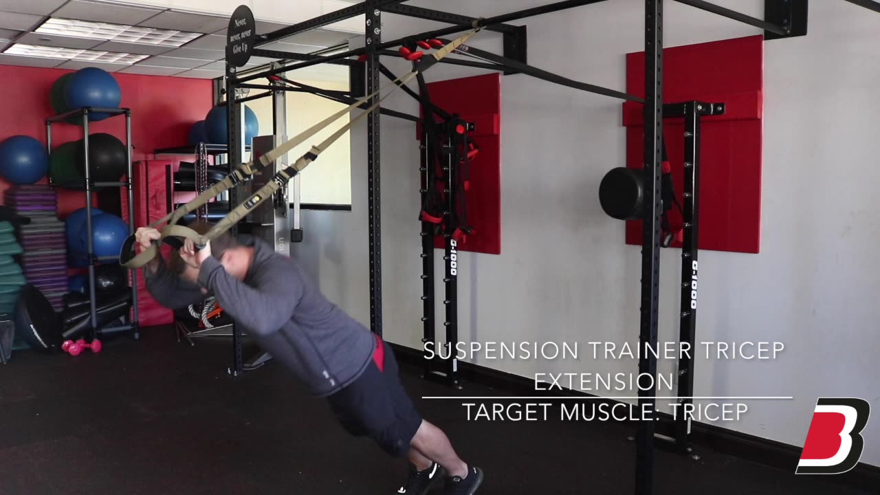 Suspernsion Trainer Tricep Extension