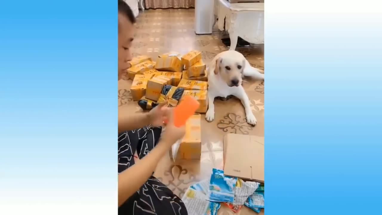 Funny Cutest Animals Videos 😁
