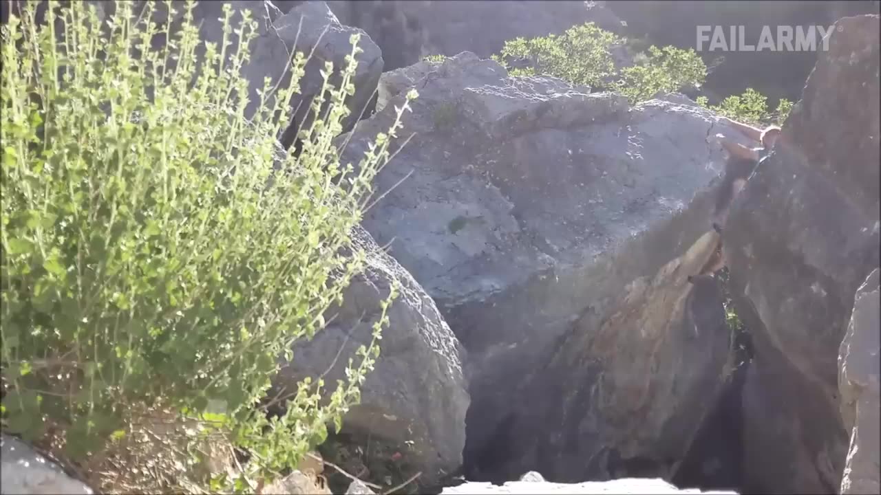 Funniest Summer Beach and Summer Fails