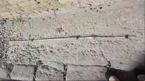 LOST CIVILIZATION FOUND UNDER JURASSIC LAVA FLOW