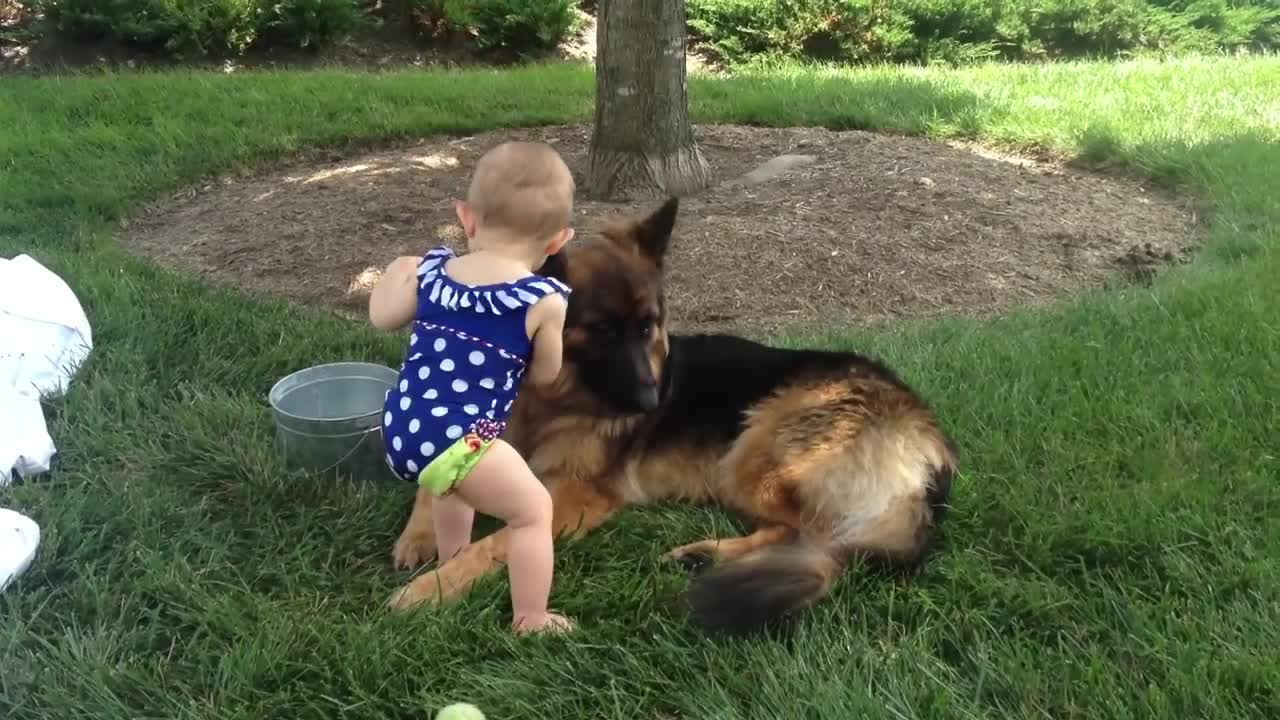 German Shepherd And Baby part 2