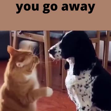 Hey who are you go away