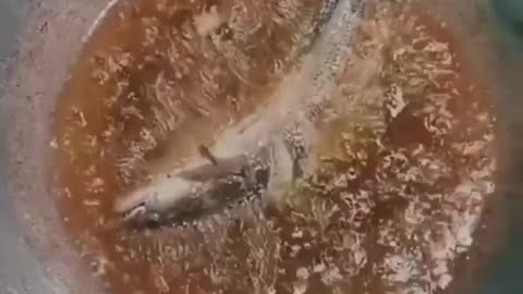 This is a beautiful and charming water-dwelling species