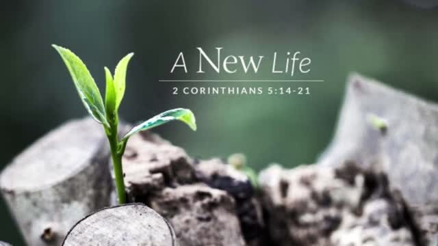 Dedicated2Jesus Daily Devotional Audio -- 2 Corinthians 5.14-21 'From Alienation to Reconciliation'