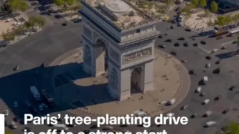 Paris is planting climate change-resistant trees