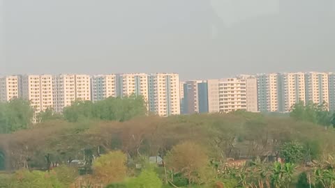 Beautiful view