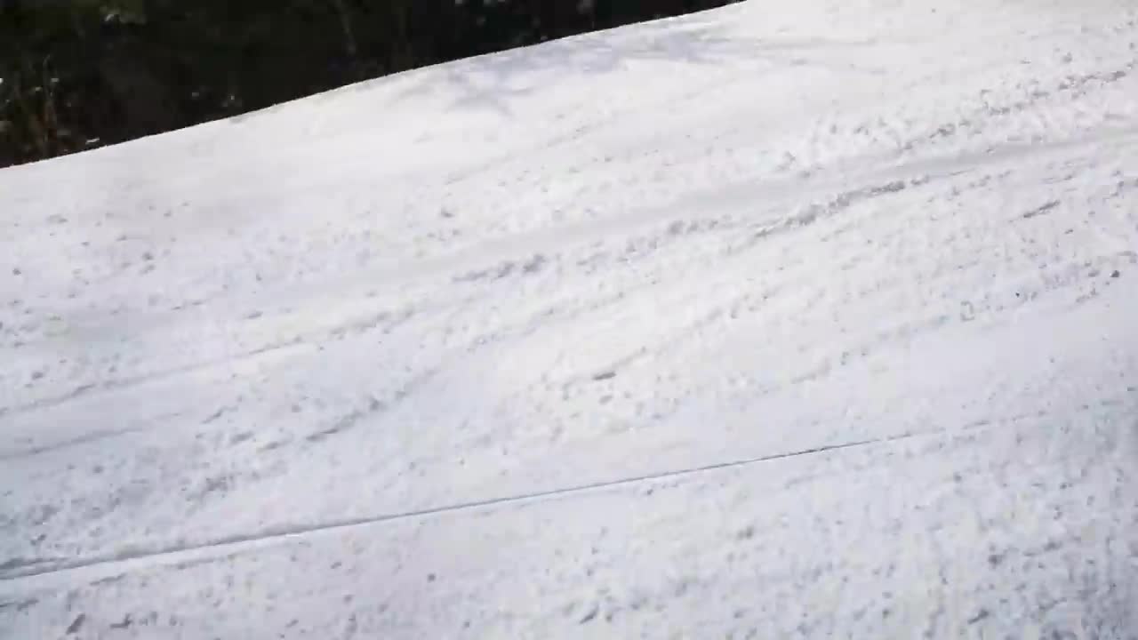 Skiing with the bear on the slope - 9 Martie 2021, Partia Cocosul Predeal Romania, by Mister Fox
