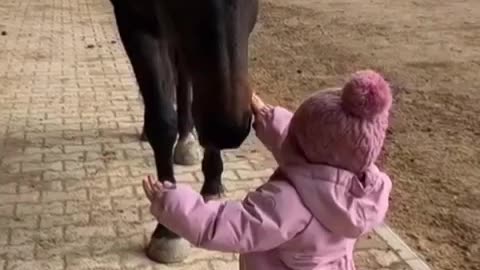 Little baby girl has a horse 🐴 friend