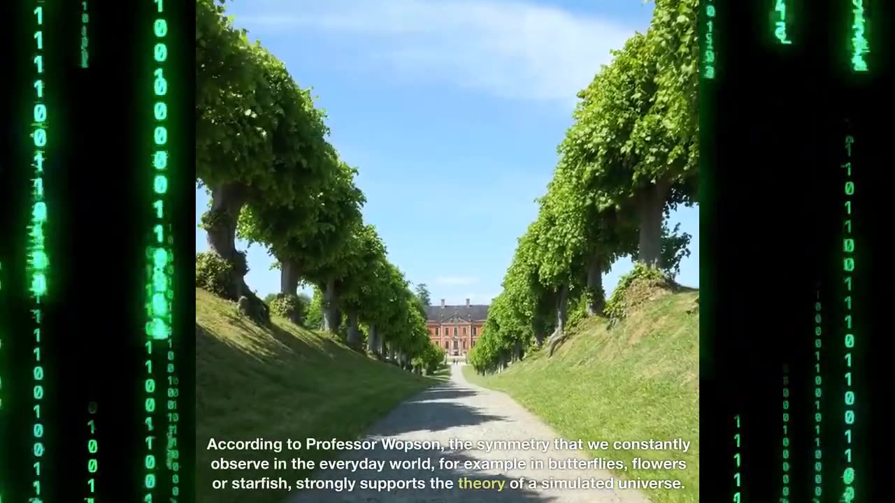 "We Live in a Simulation and I Have Proof" - Says British Physicist