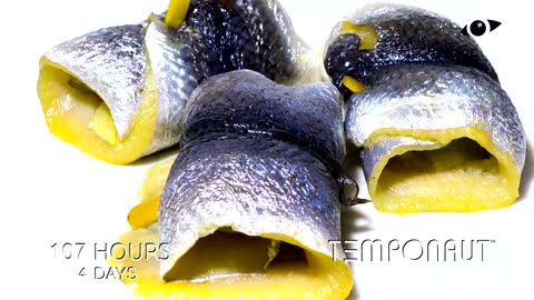 Rollmops Timelapse