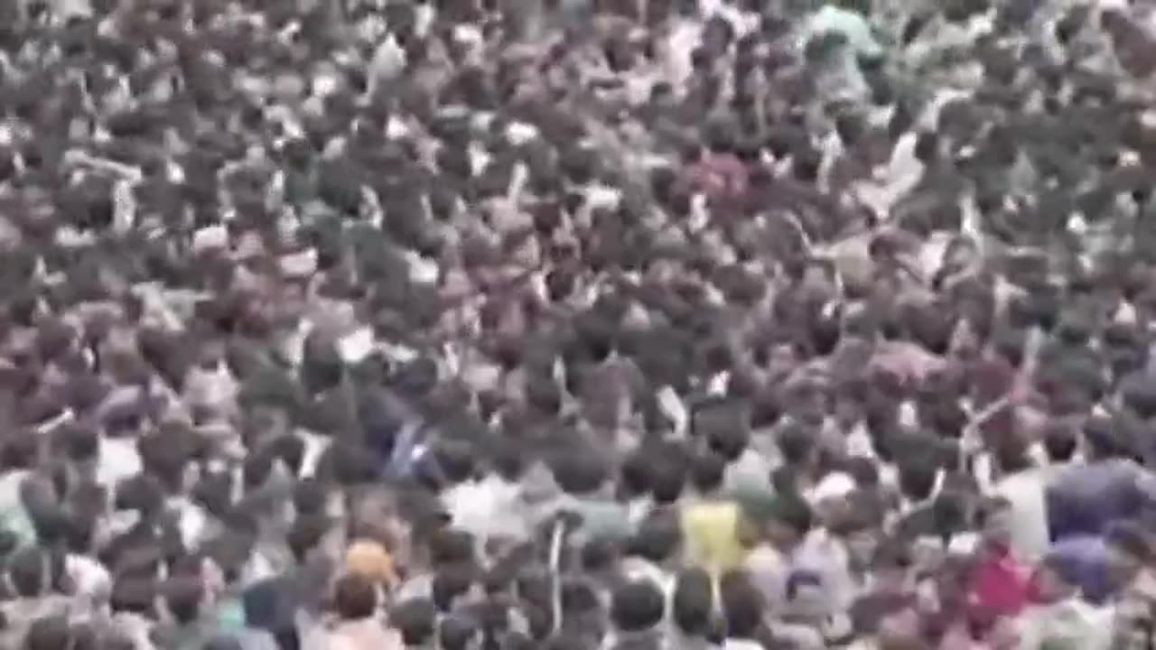 Documentário sobre a Índia: Os Eternos Pajeets