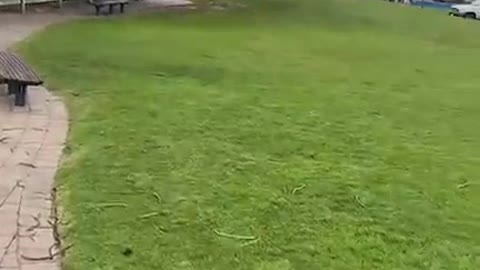 Walking on a beach-windy condition