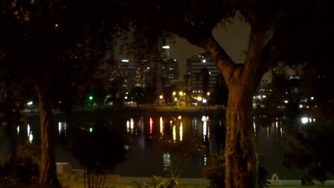 Downtown Los Angeles Skyline From MacArthur Park