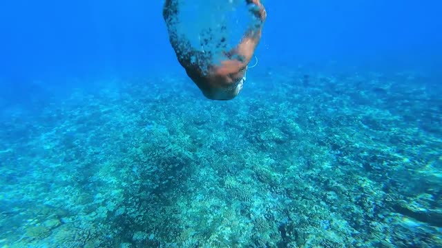 GoPro Surfing Crystal Clear Waves of Teahupo'o with Tereva David