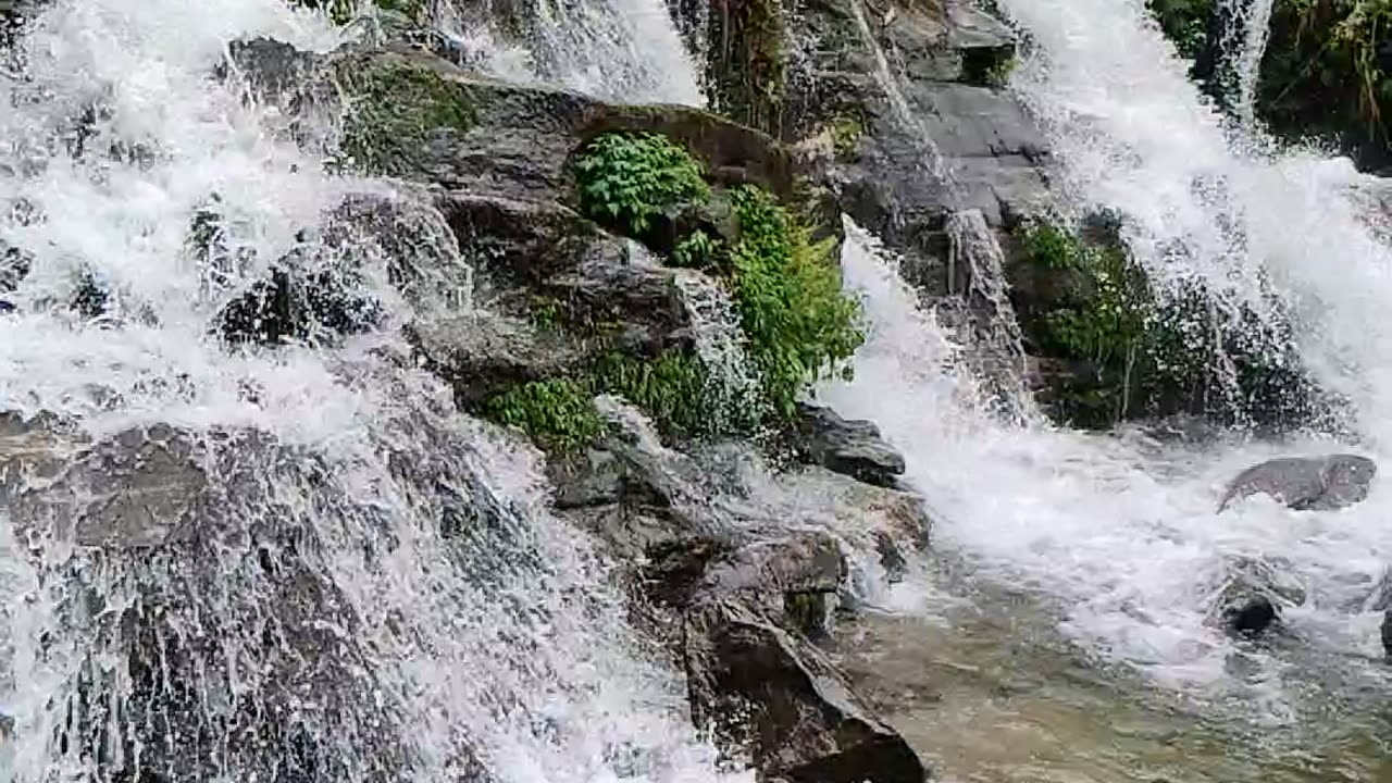 A view of of Rock Garden Darjeeling