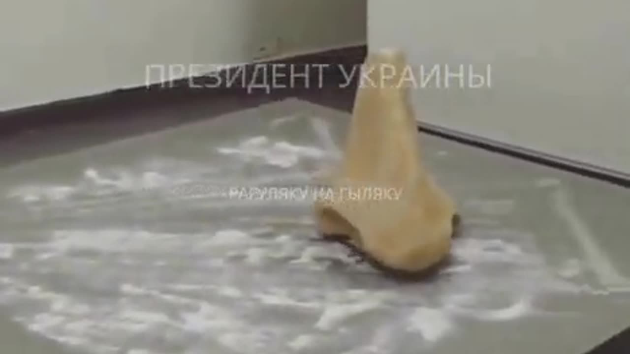 Installation "Zelensky" was shown in Europe