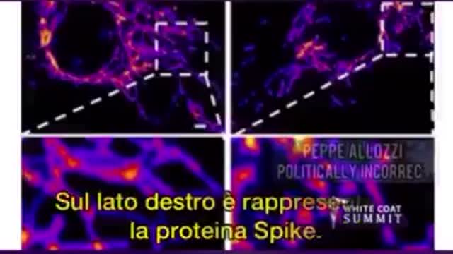 dottor Ryan Cole la proteina spike dei cosiddetti vaccini è tossica: ecco le prove