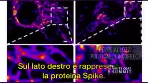 dottor Ryan Cole la proteina spike dei cosiddetti vaccini è tossica: ecco le prove