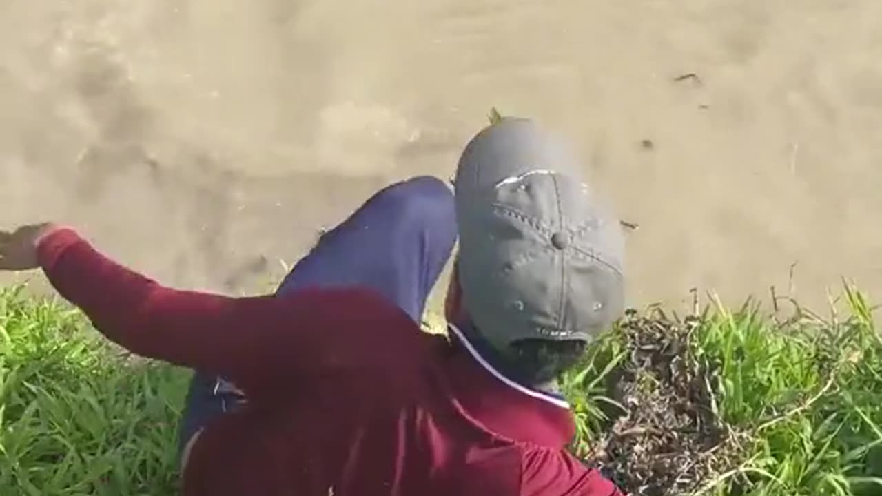 Animal: Fishing for an alligator?! Or what is it?