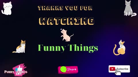 Funny Animal Video