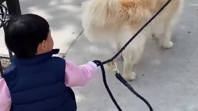 Baby and dog