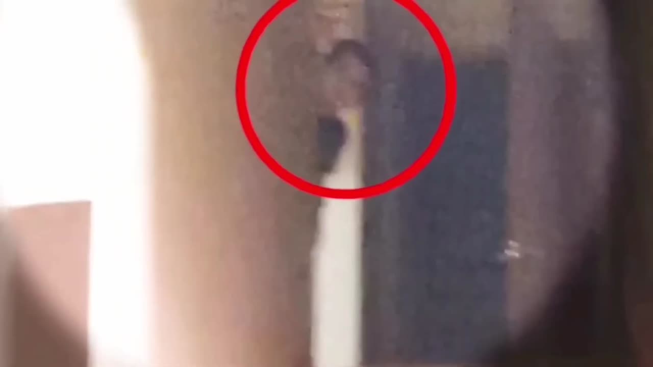 Top 5 ghosts caught on camera