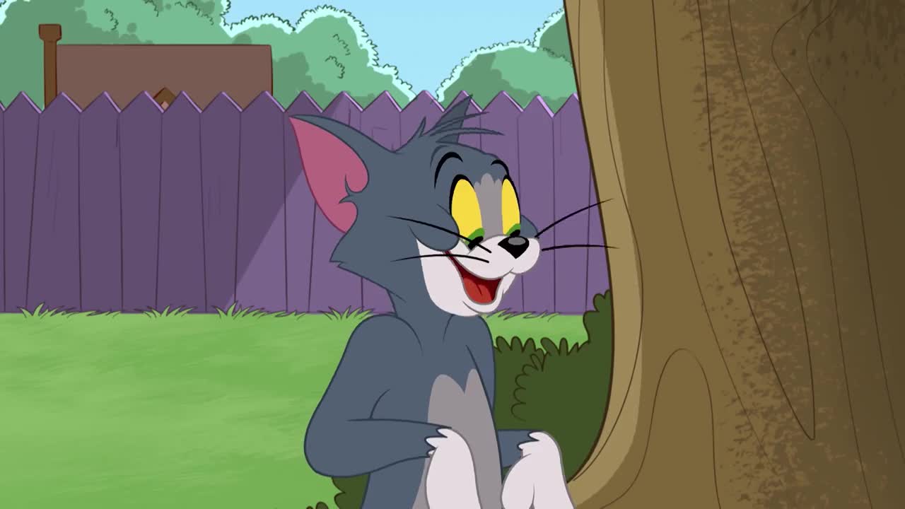 The Tom and Jerry Show _ Tom The Dog Carer _ Boomerang UK 🇬🇧