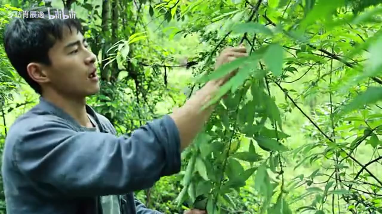 木姜子又叫山胡椒，做成木姜子酱，拌面可好吃了