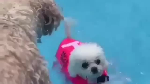 It's like a motor, whir speed